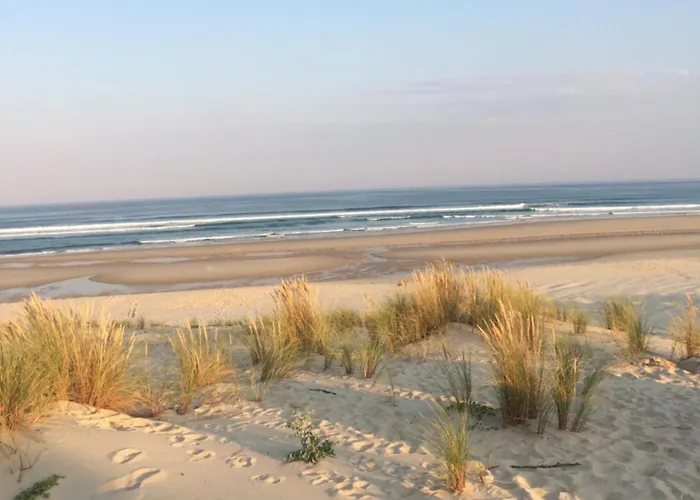 Entierement Renove Avec Vue Sur Le Bassin Et St Yves Parking Prive Apartman