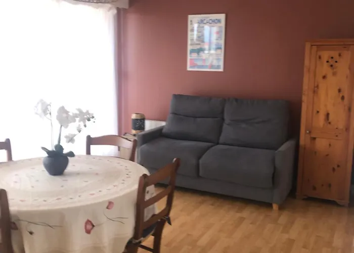 Apartman Entierement Renove Avec Vue Sur Le Bassin Et St Yves Parking Prive